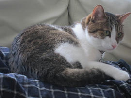 IMG05477.jpg