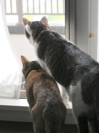 IMG05478.jpg