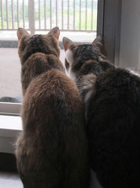 IMG05479.jpg