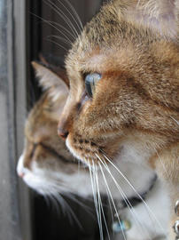 IMG05481.jpg