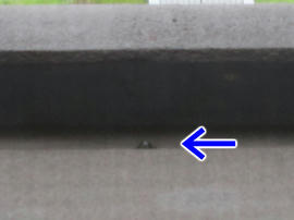 IMG05482.jpg