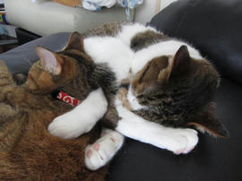 IMG05485.jpg