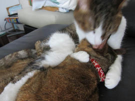 IMG05486.jpg
