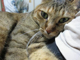 IMG05488.jpg