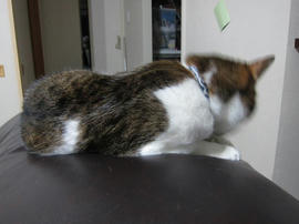 IMG05489.jpg
