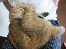 IMG05494.jpg
