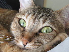 IMG05498.jpg