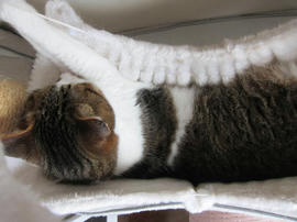 IMG05495.jpg