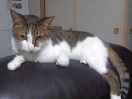 120726_1946_01.jpeg