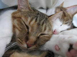 IMG05501.jpg