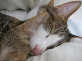 IMG05502.jpg