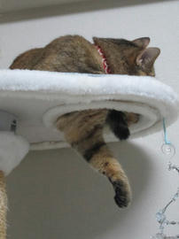 IMG05505.jpg