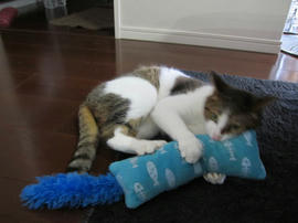 IMG05509.jpg