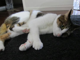 IMG05510.jpg