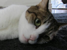 IMG05511.jpg