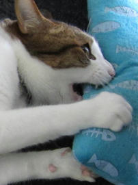 IMG05512.jpg