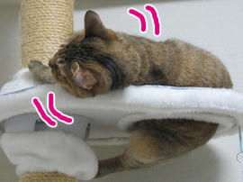 IMG05513.jpg