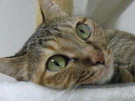 IMG05518.jpg