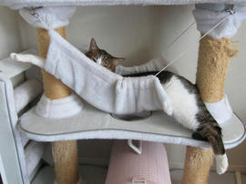 IMG05519.jpg