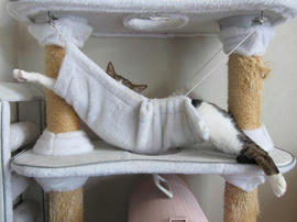IMG05520.jpg
