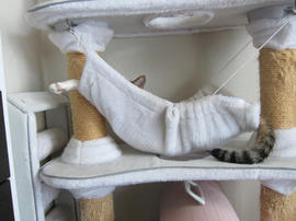 IMG05521.jpg
