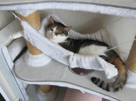 IMG05524.jpg