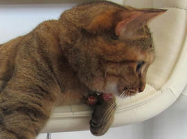 IMG05528.jpg