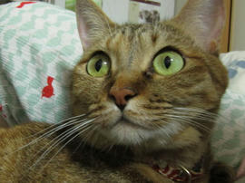 IMG05530.jpg