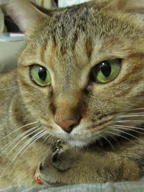 IMG05531.jpg