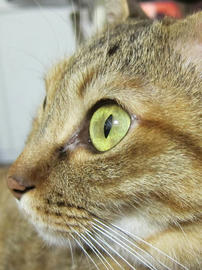 IMG05533.jpg