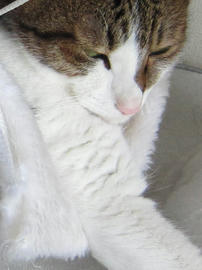IMG05536.jpg