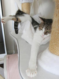 IMG05537.jpg