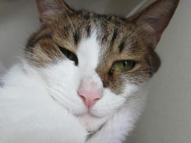 IMG05538.jpg