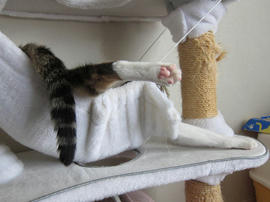 IMG05539.jpg
