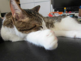 IMG05541.jpg