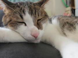 IMG05543.jpg