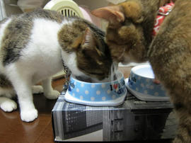 IMG05551.jpg