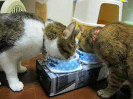 IMG05553.jpg