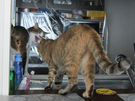 IMG05558.jpg