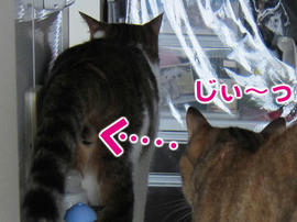 IMG05559.jpg