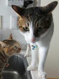 IMG05563.jpg