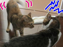 IMG05564.jpg