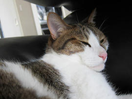 IMG05565.jpg