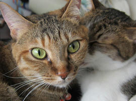 IMG05567.jpg