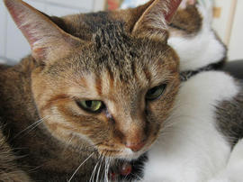 IMG05570.jpg