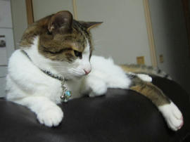 IMG05572.jpg