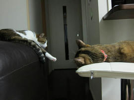 IMG05575.jpg