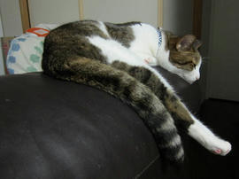 IMG05577.jpg