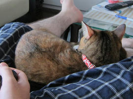 IMG05578.jpg