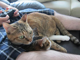 IMG05579.jpg